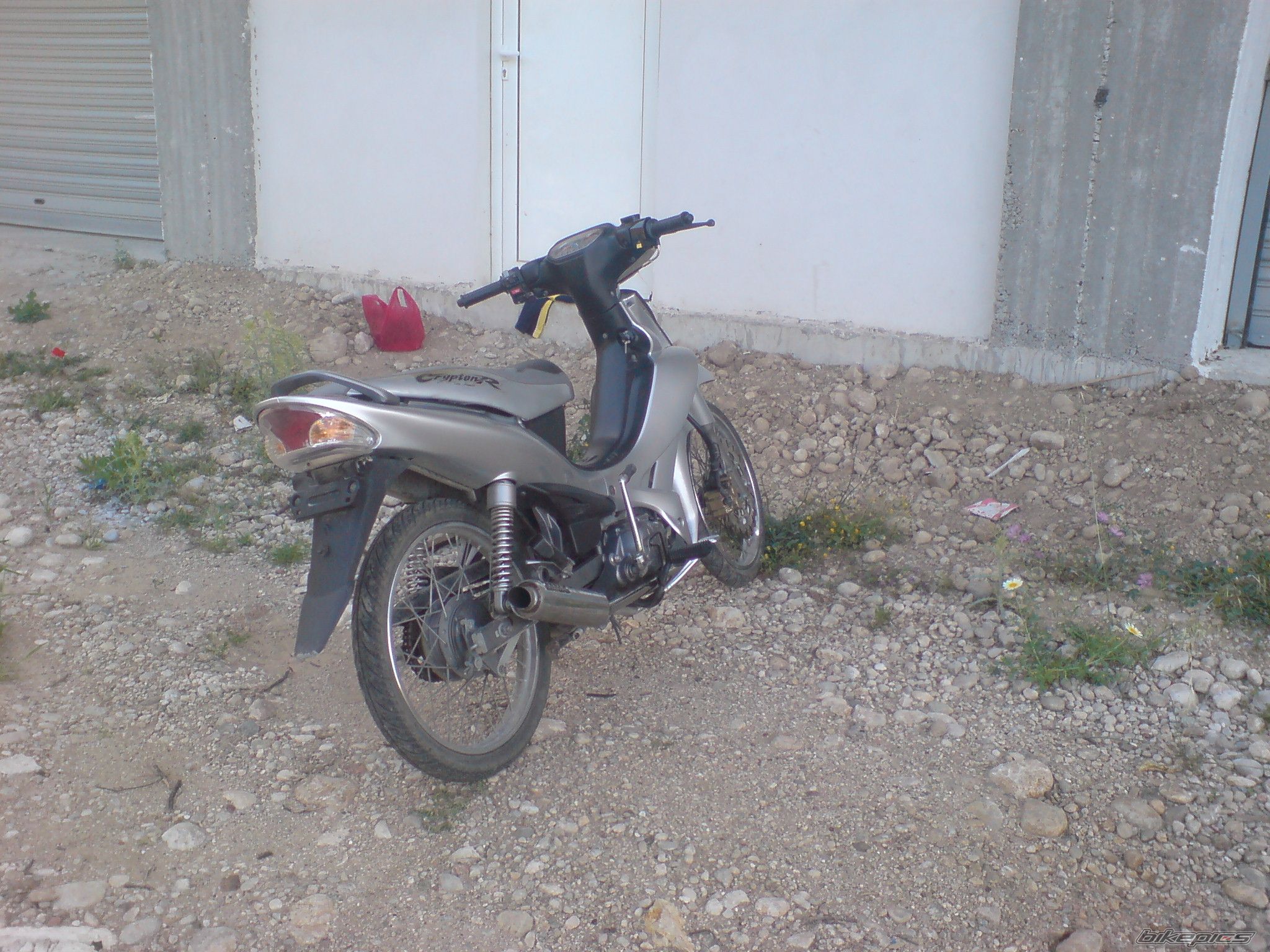 Photo 1291930