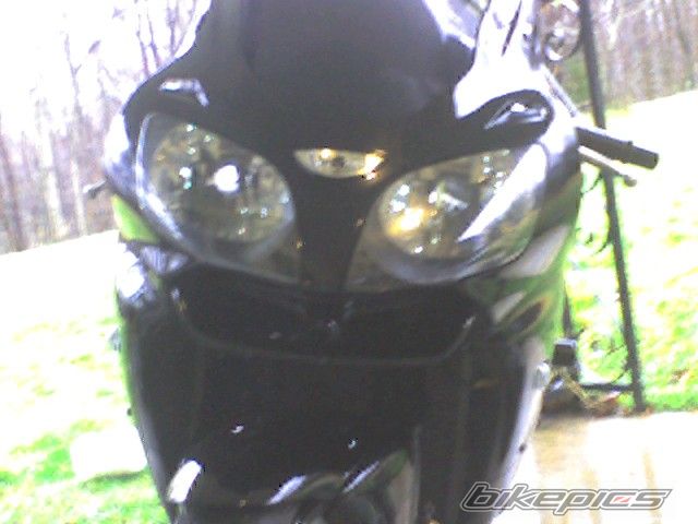 Photo 1292045