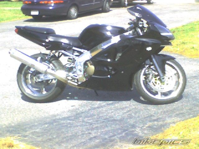 Photo 1292047