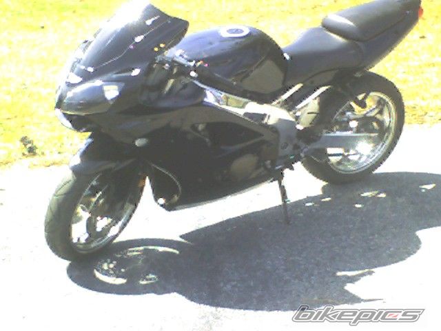 Photo 1292049