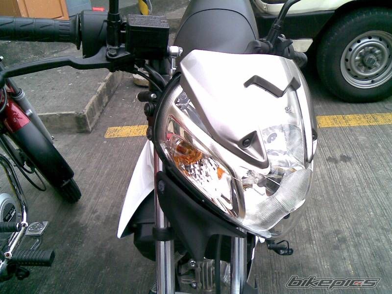 Photo 1292058
