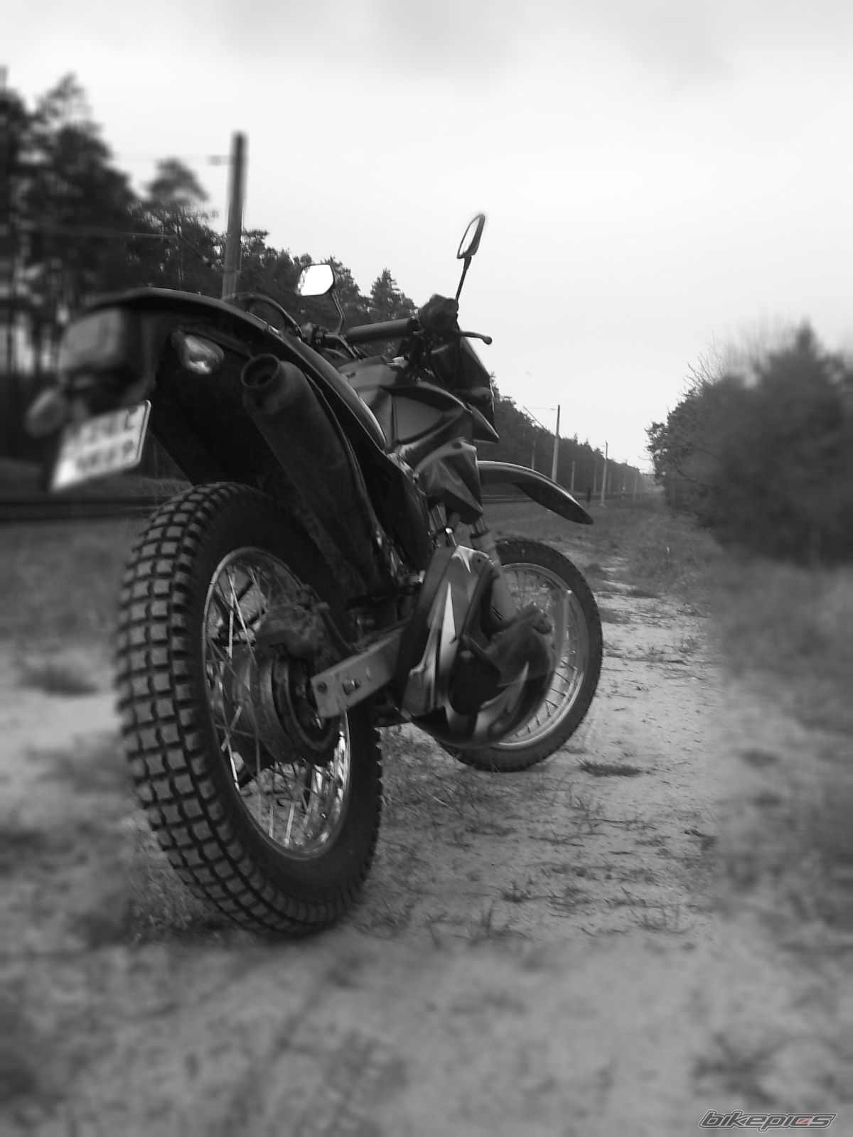 Photo 1292124