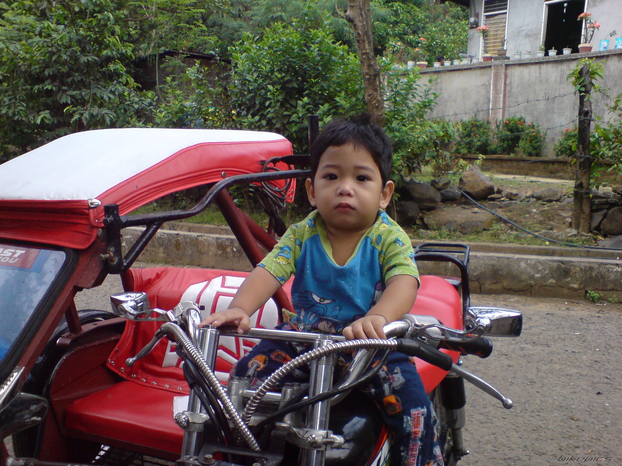Photo 1292254
