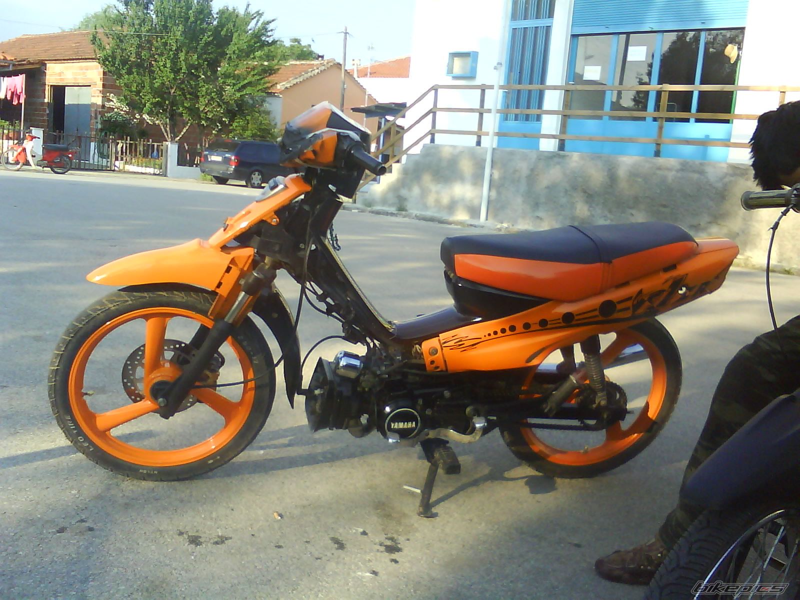 Photo 1292282