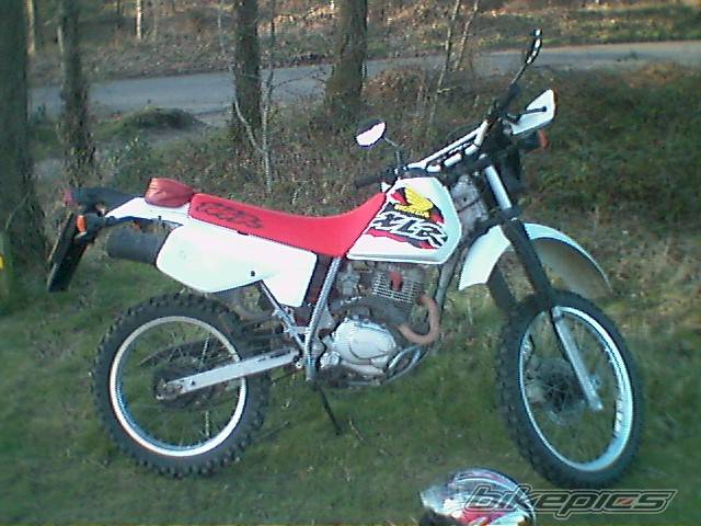 Photo 129235