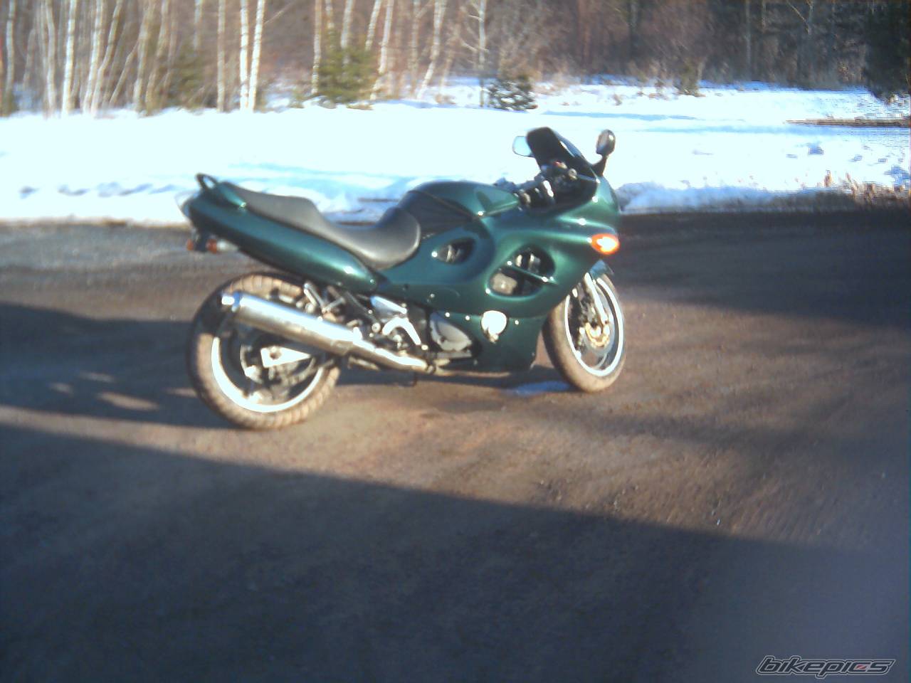 Photo 129237