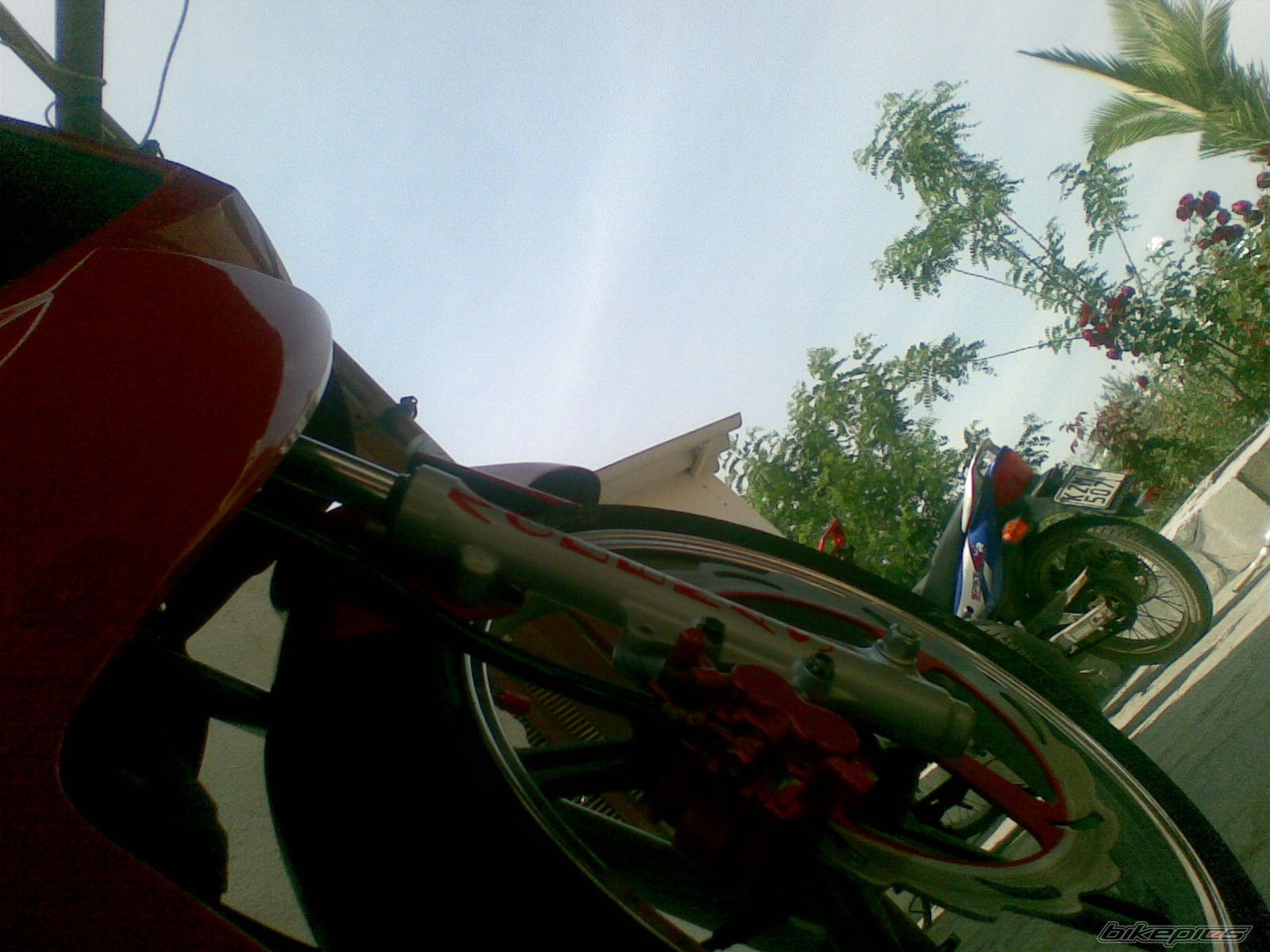 Photo 1292386
