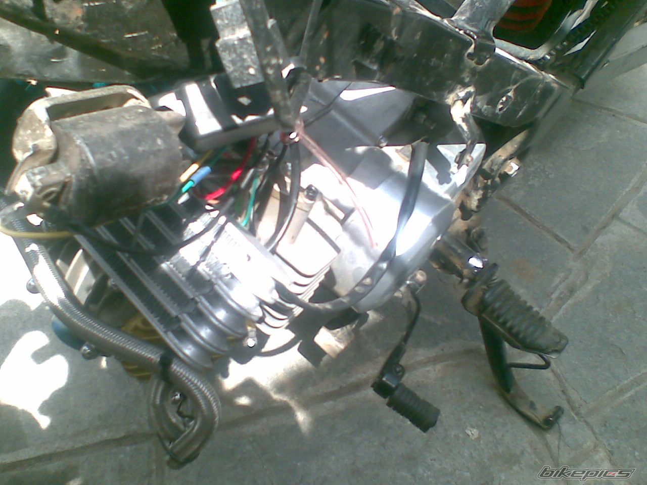 Photo 1292389