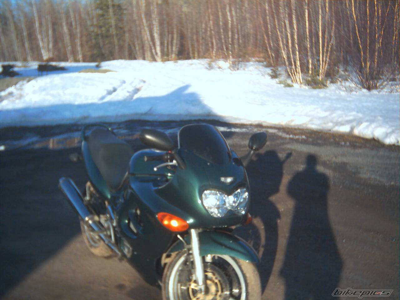 Photo 129240