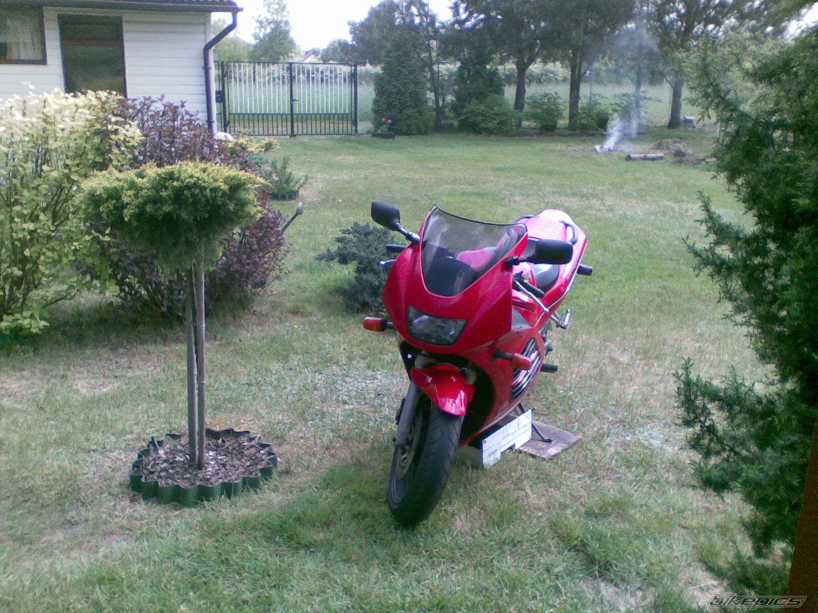 Photo 1292405