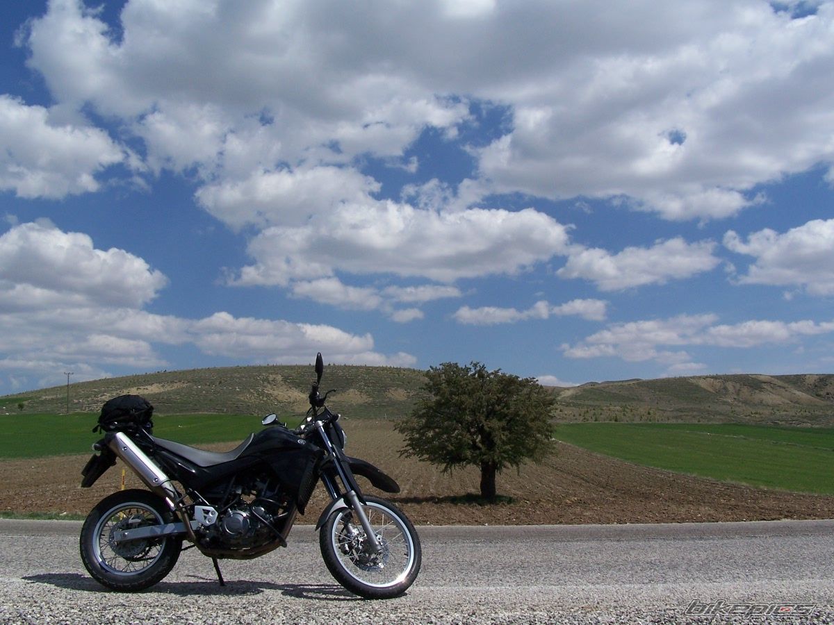 Bike Photo 1292475