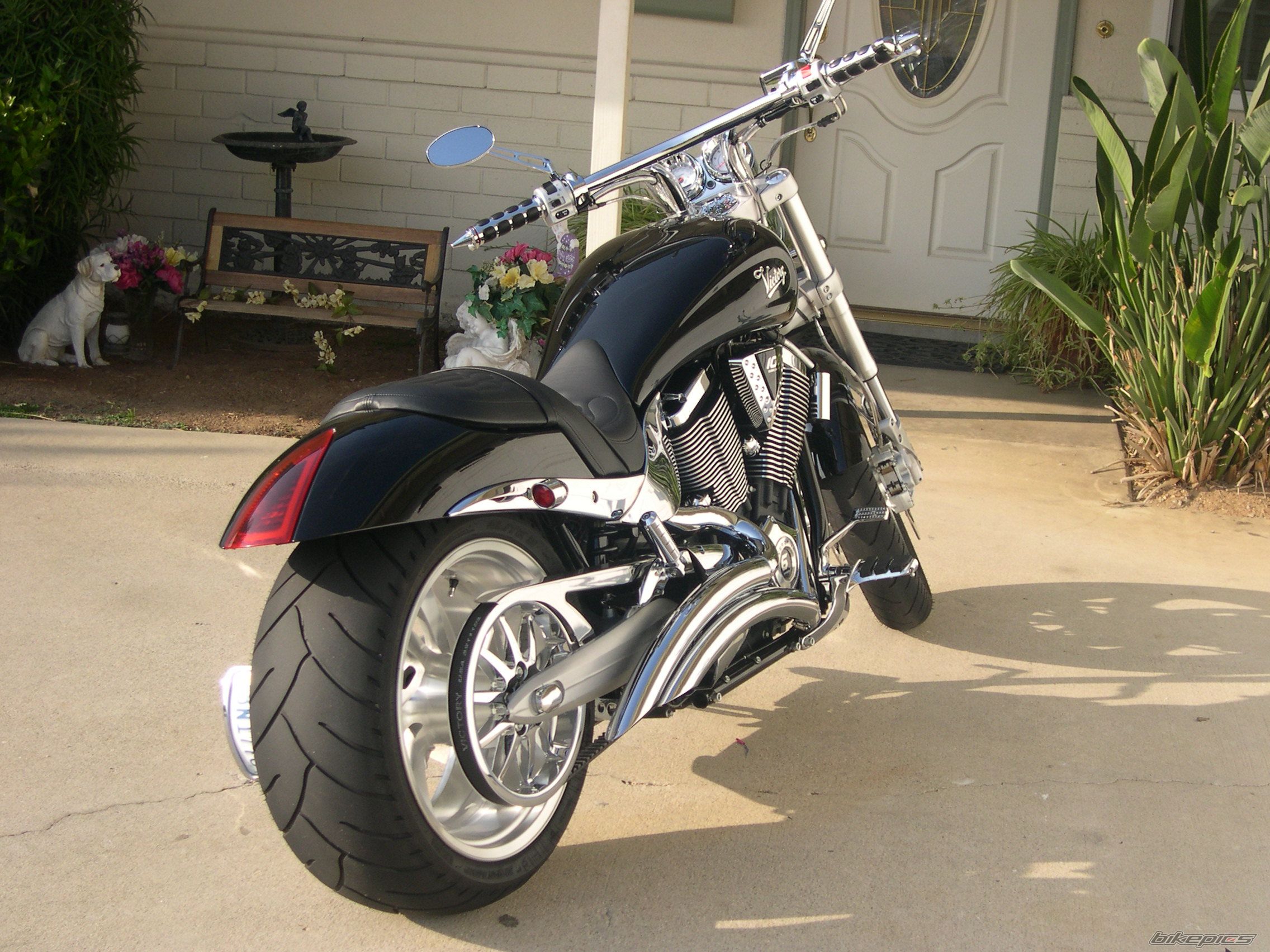 Photo 1292476