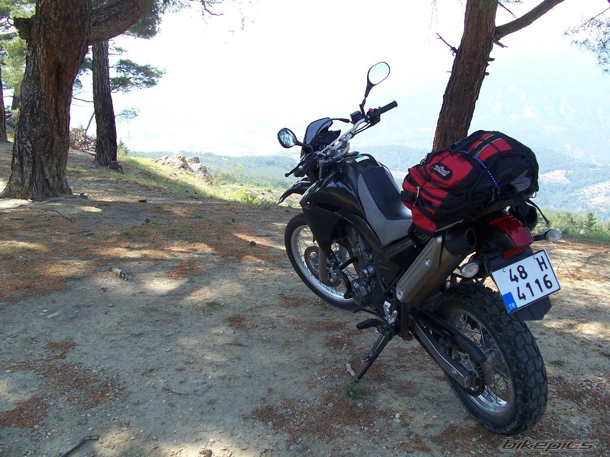 Bike Photo 1292477