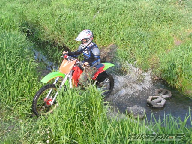 Photo 1292478
