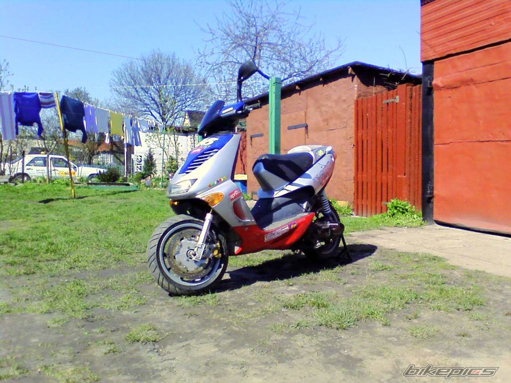 Photo 1292592