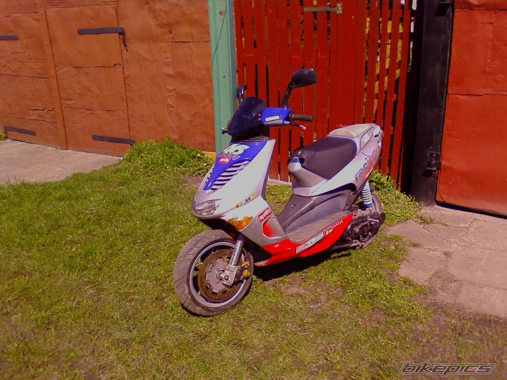 Photo 1292594