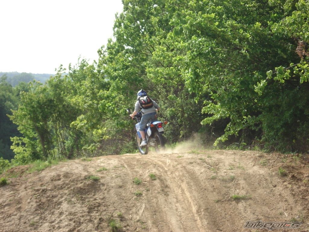 Photo 1292603