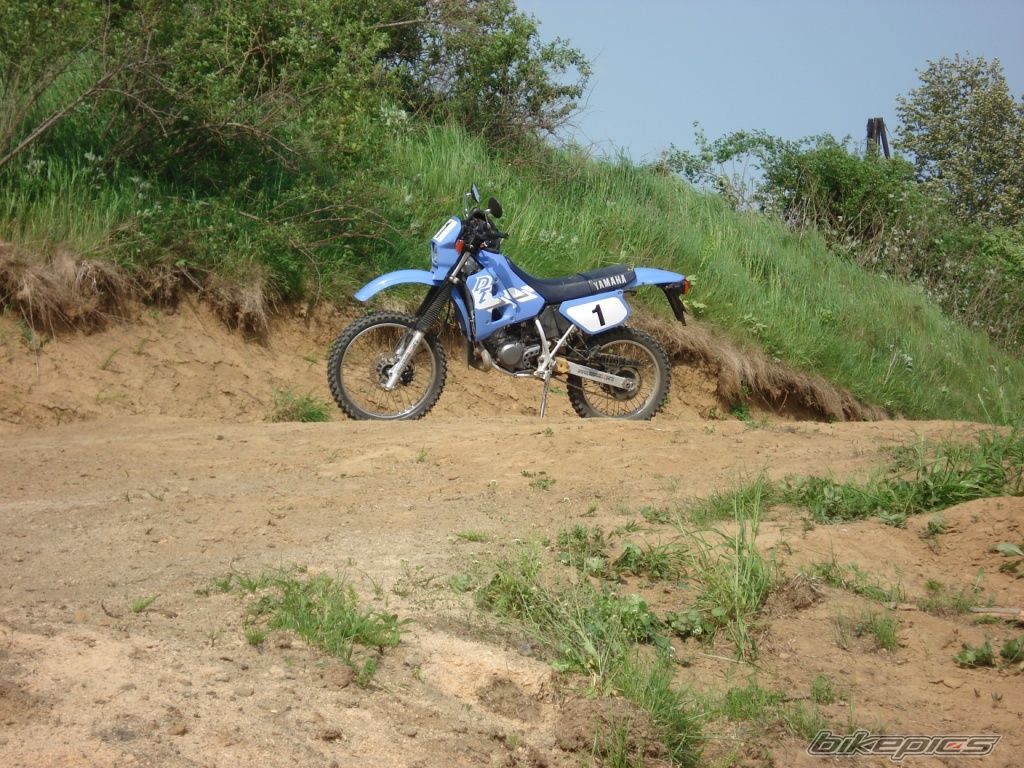 Photo 1292607
