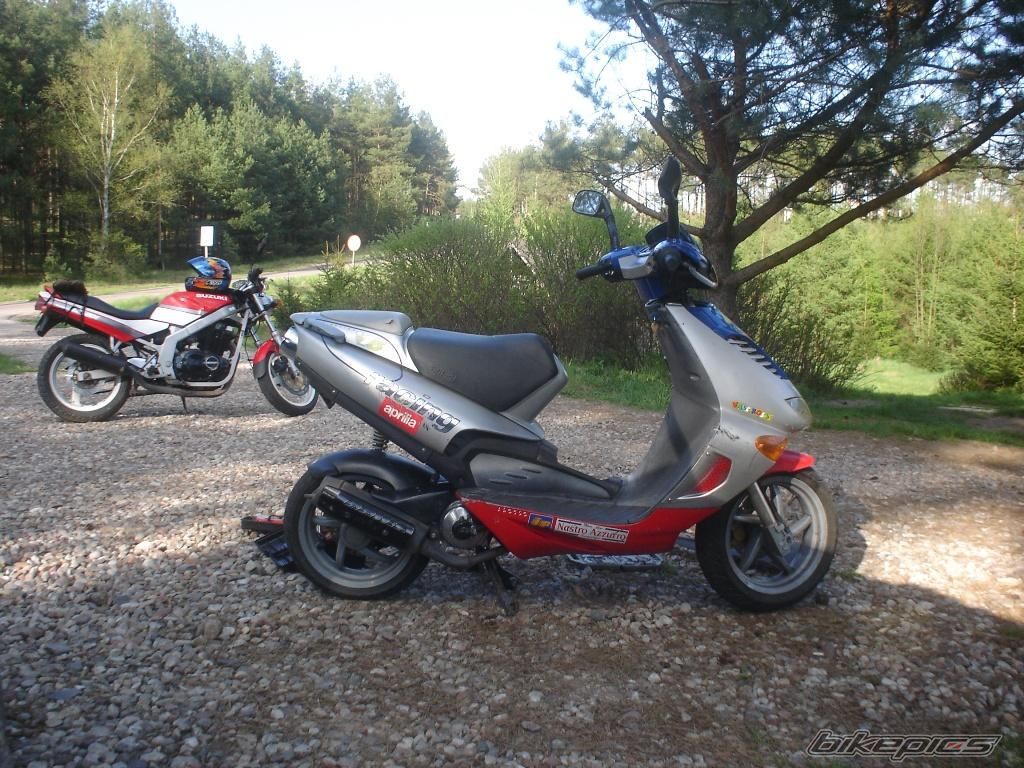 Photo 1292611