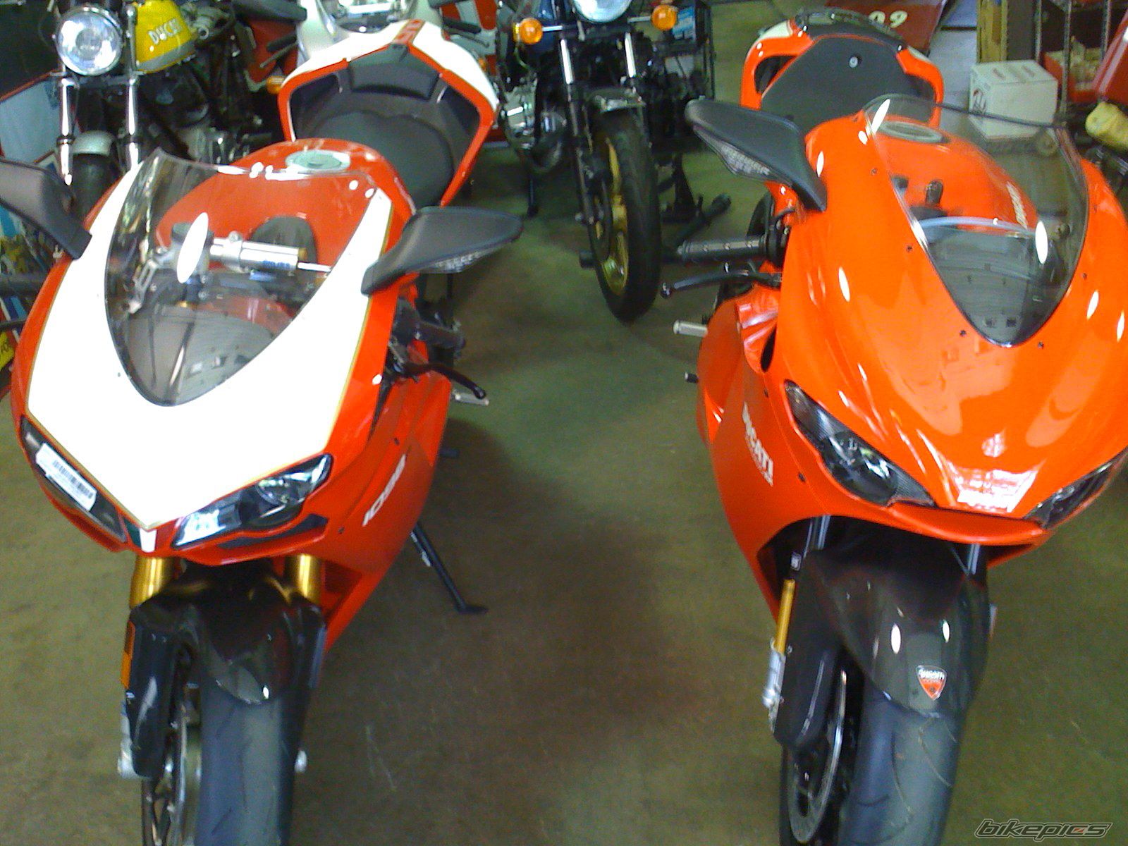 Photo 1292646