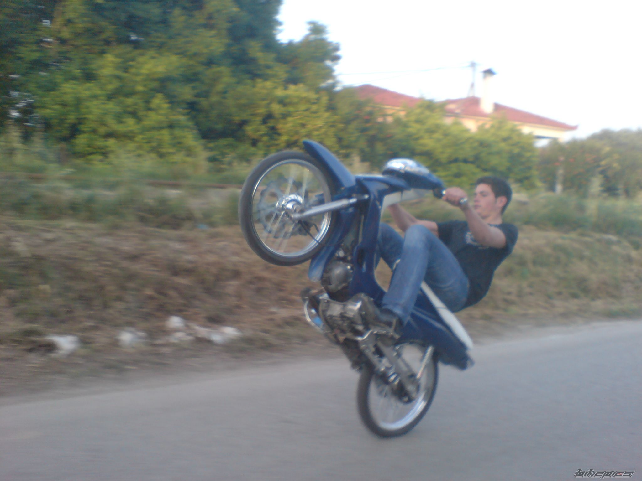 Photo 1292693