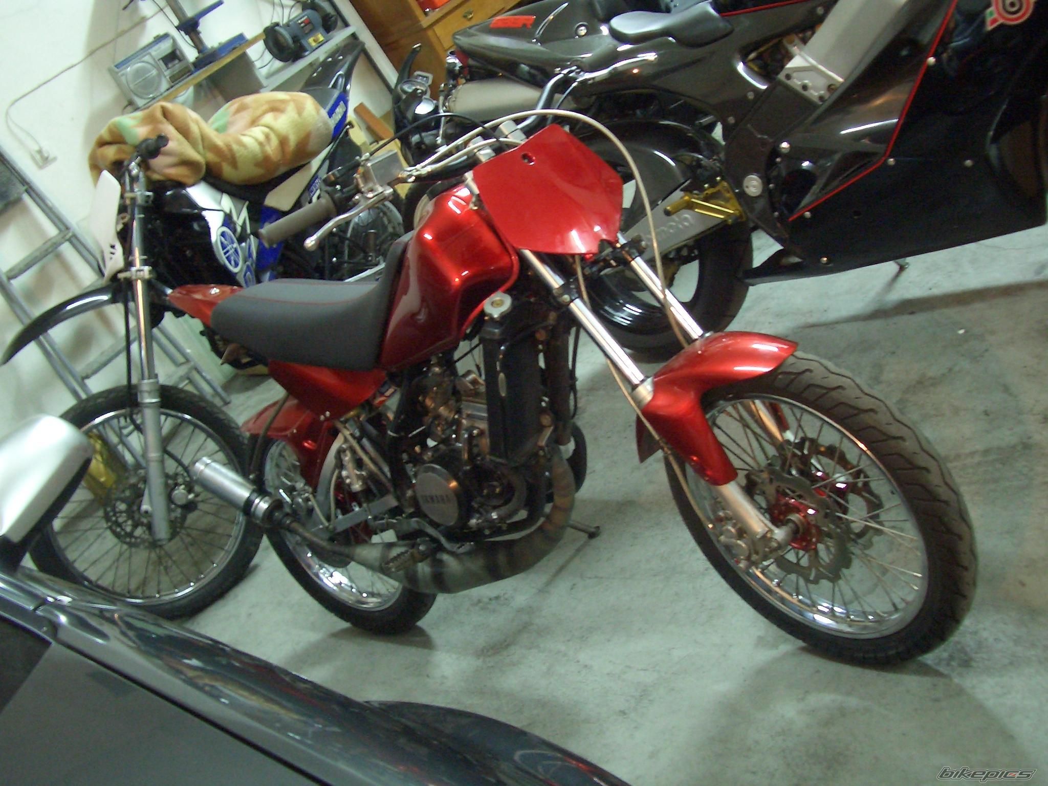 Photo 1292789