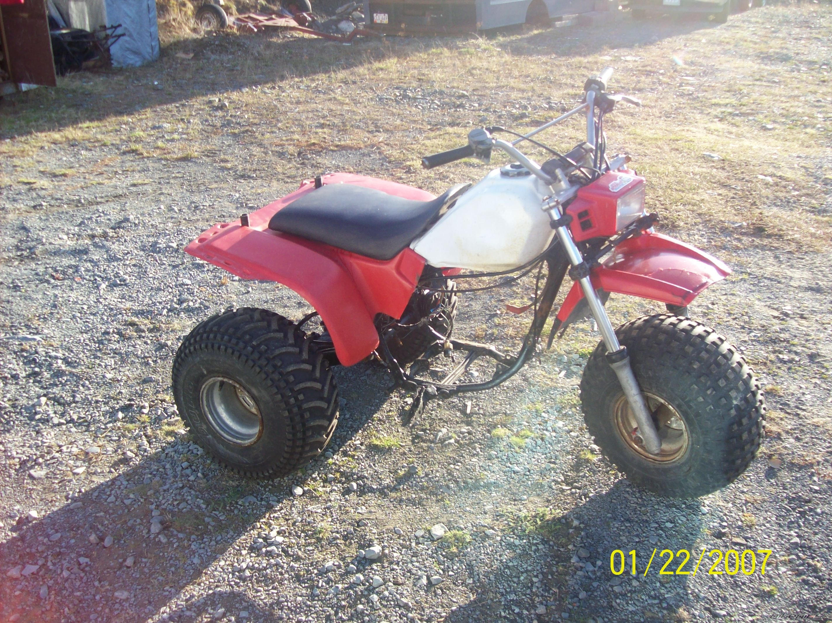 Photo 1292796