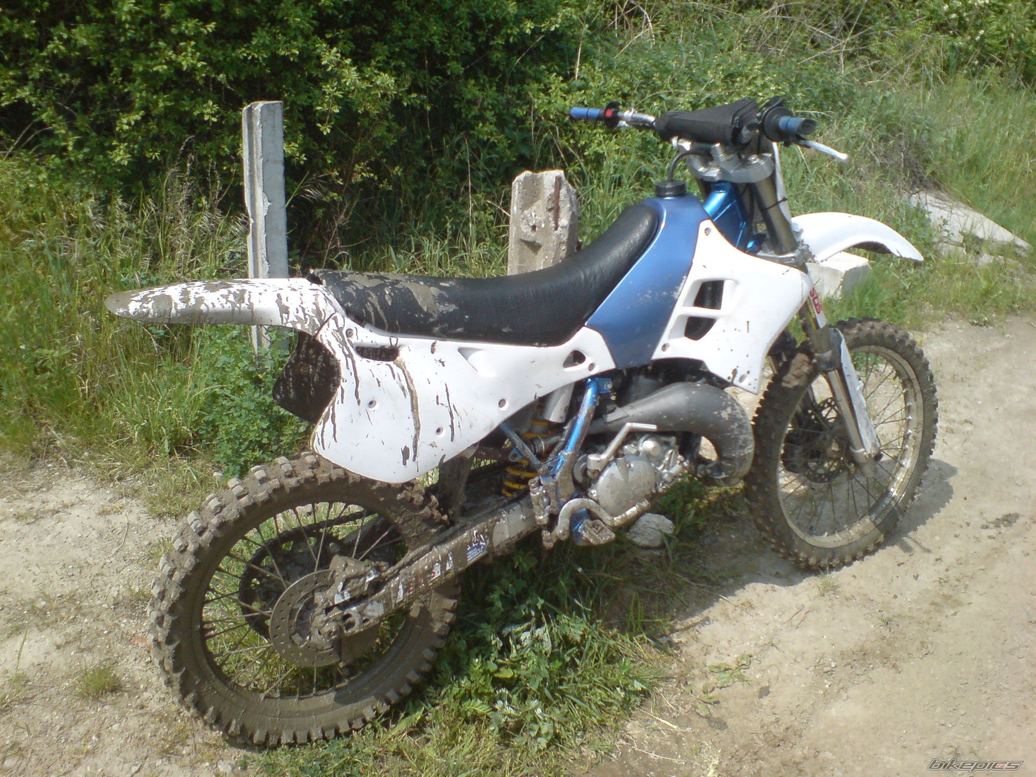 Photo 1292809