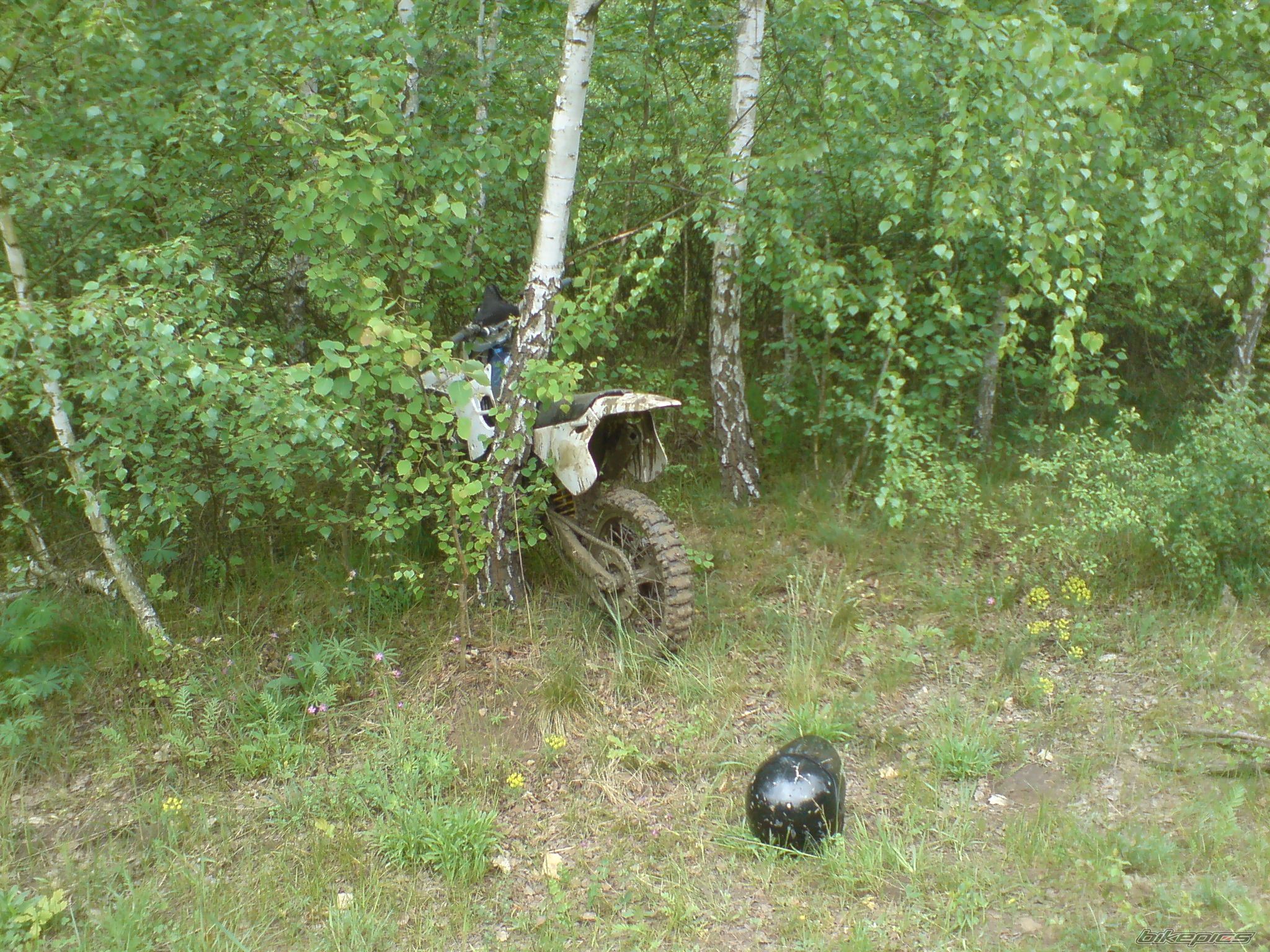 Photo 1292839