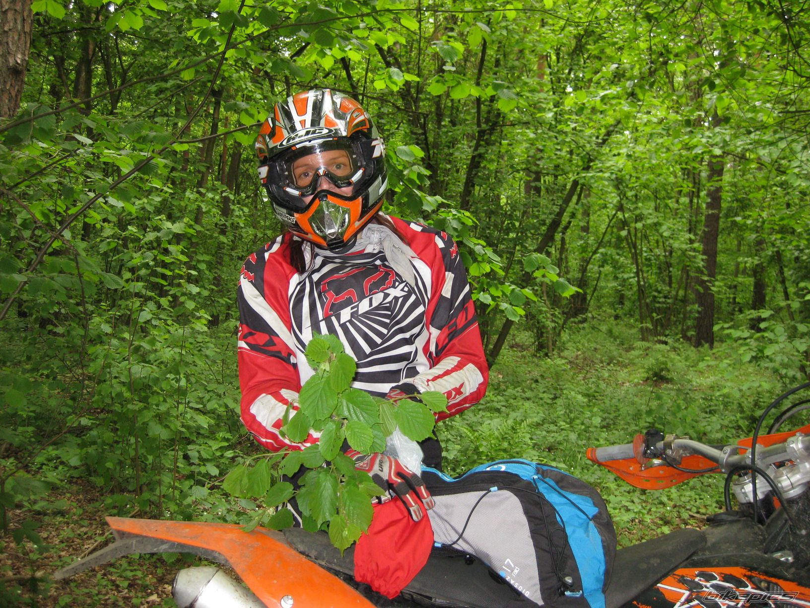Photo 1292842