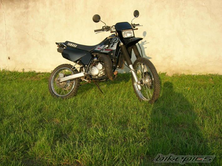 Photo 1292855