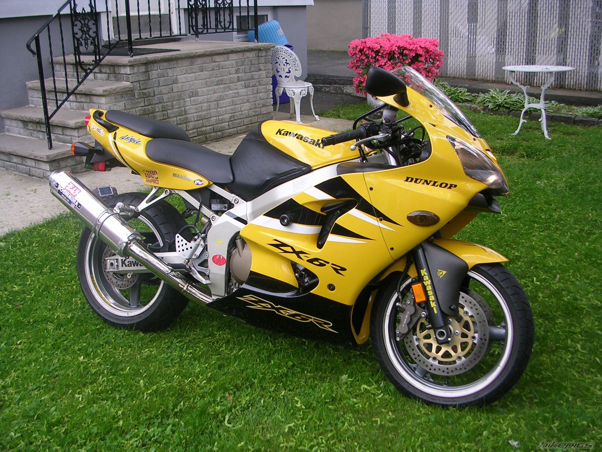 Photo 1292871
