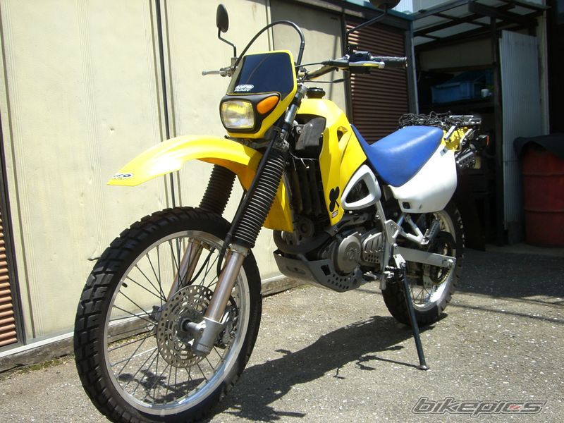 Photo 1292904
