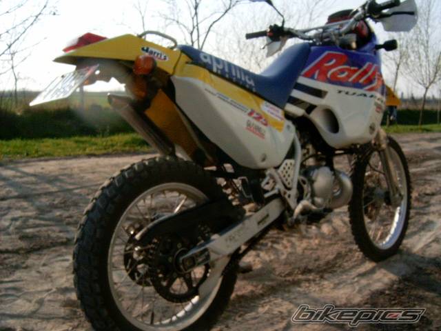 Photo 129294