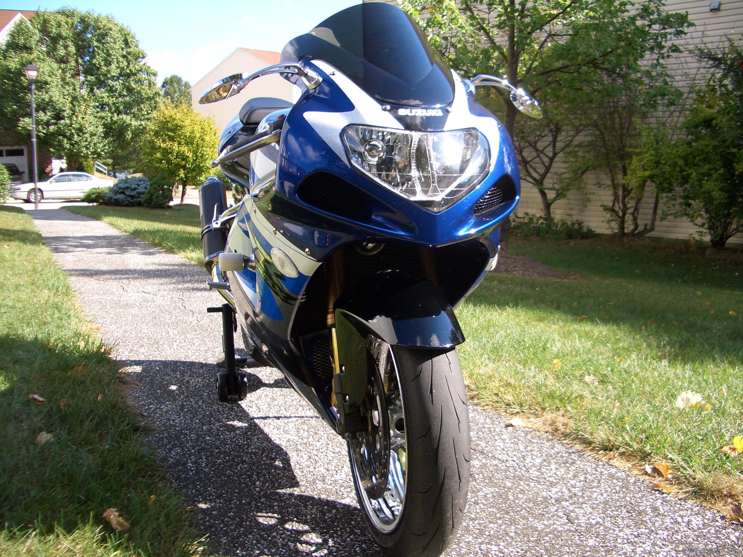 Photo 1292949