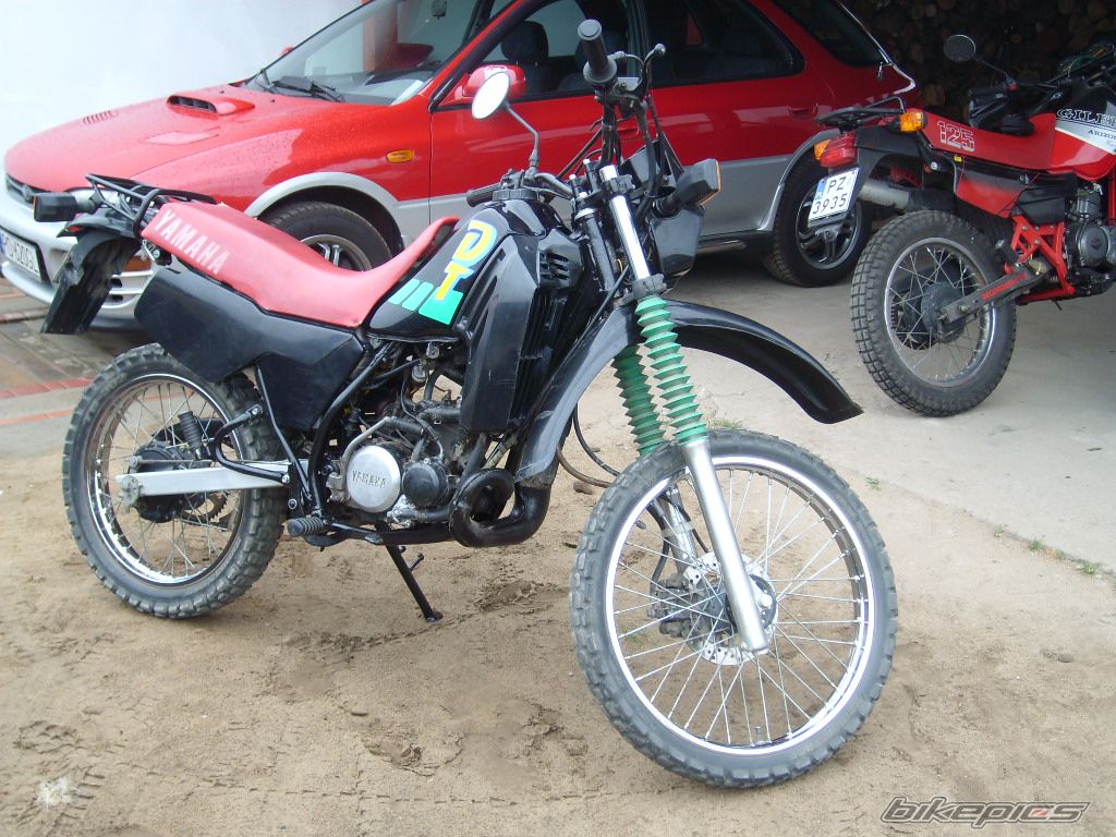 Photo 1292964