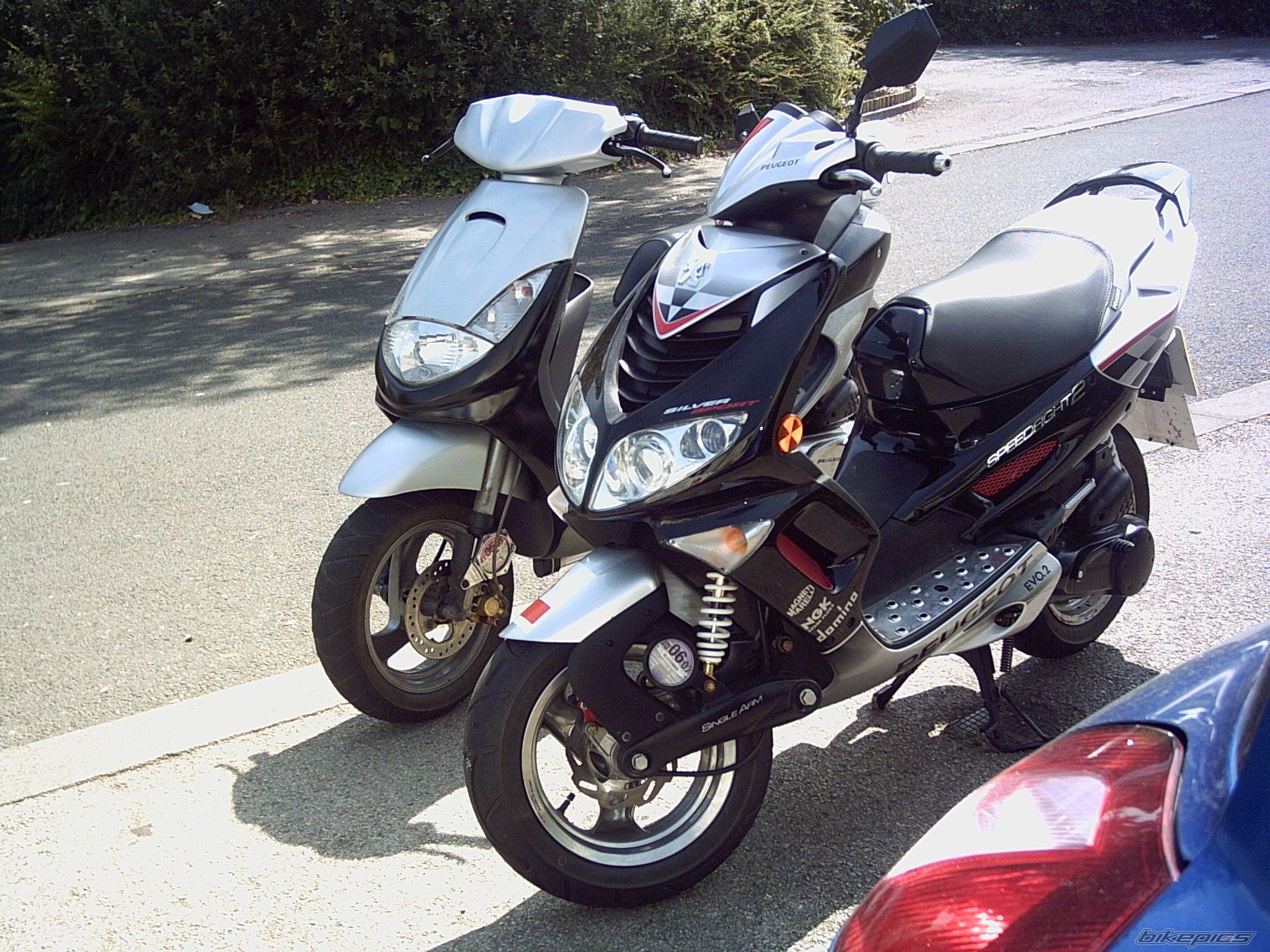 Photo 1293140