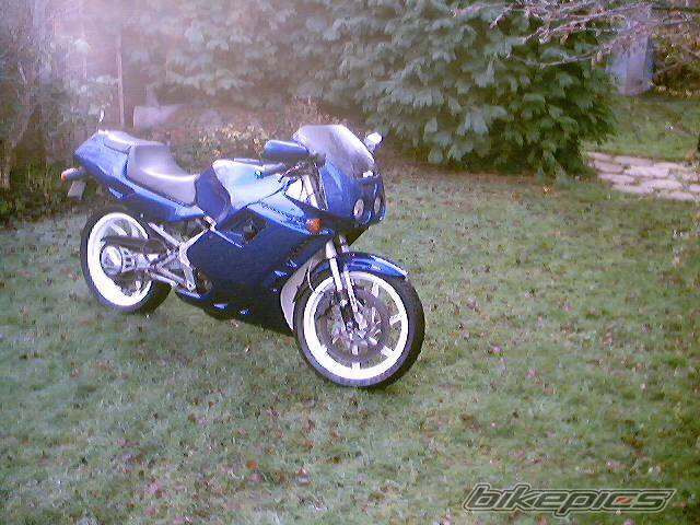 Photo 129315