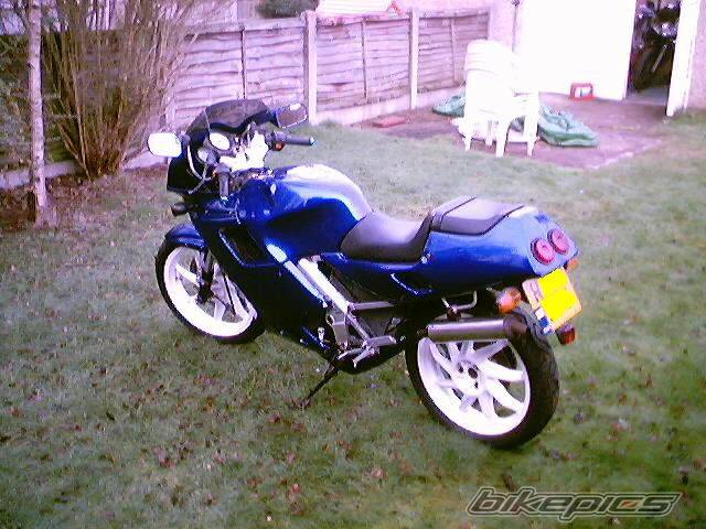 Photo 129316