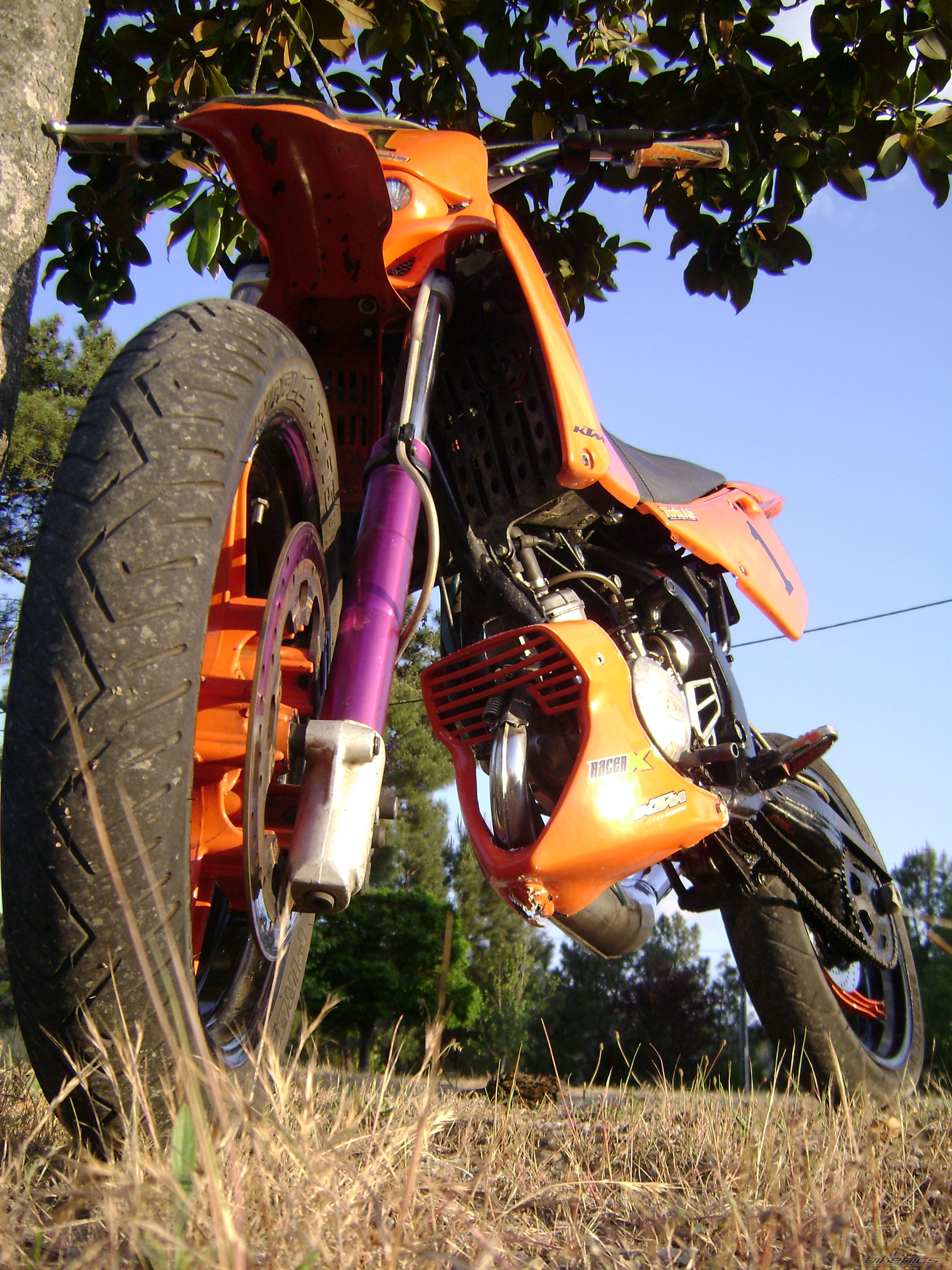 Photo 1293191