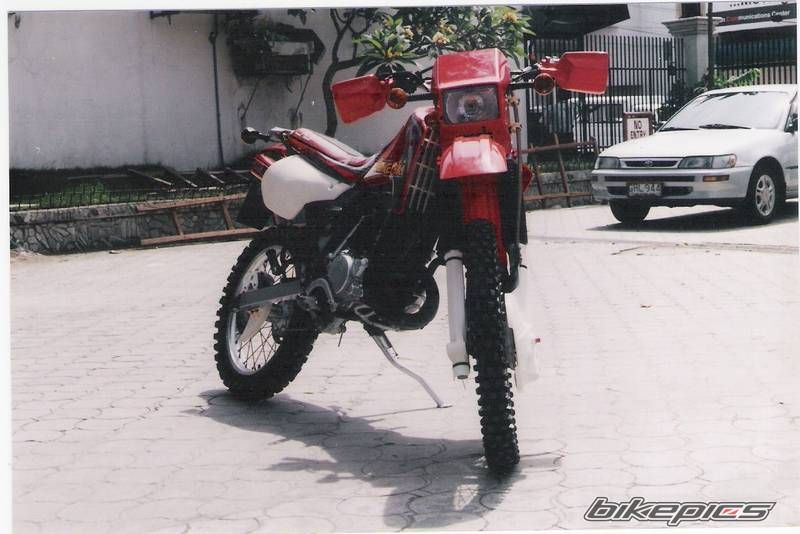 Photo 1293212