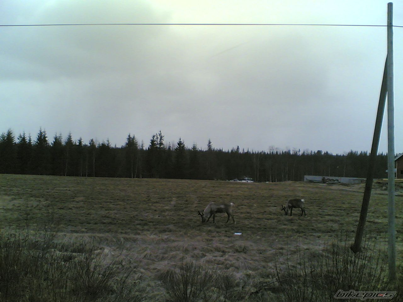 Photo 1293314