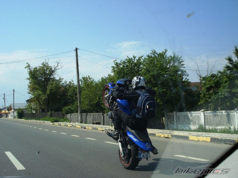 Photo 1293371