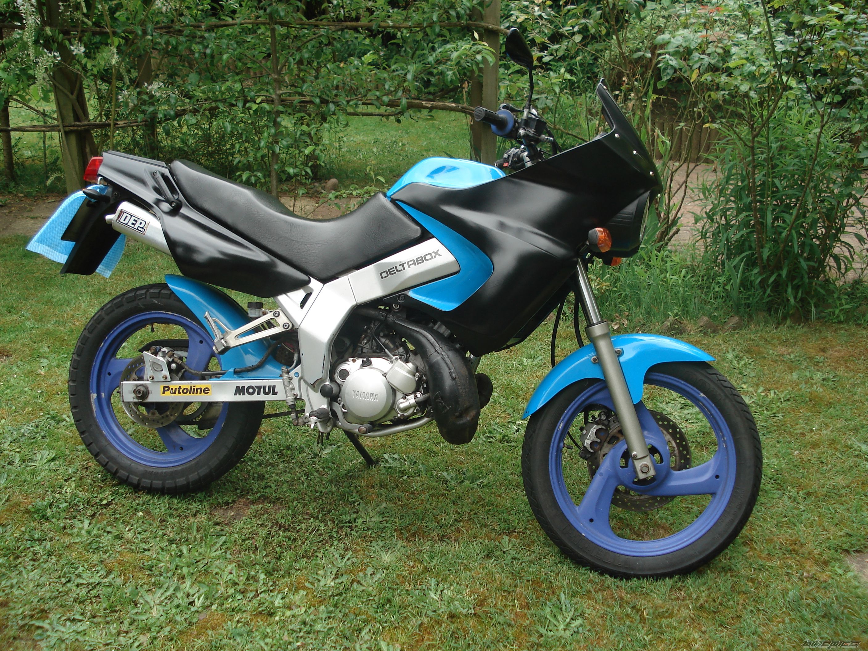 Photo 1293379
