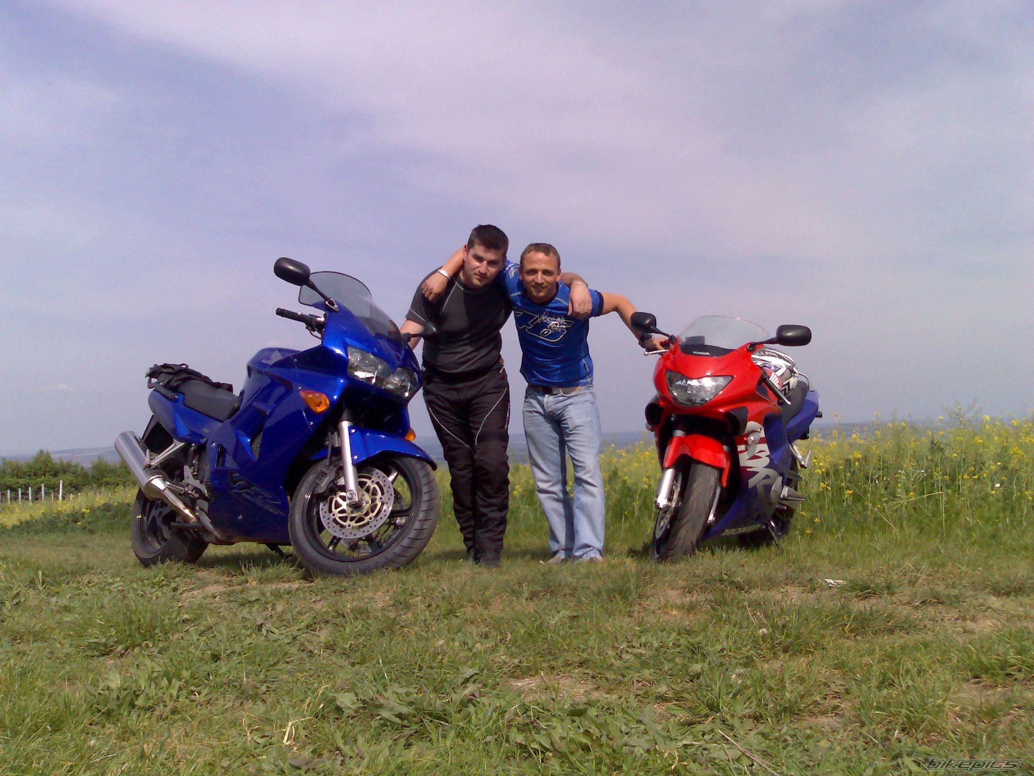 Photo 1293422
