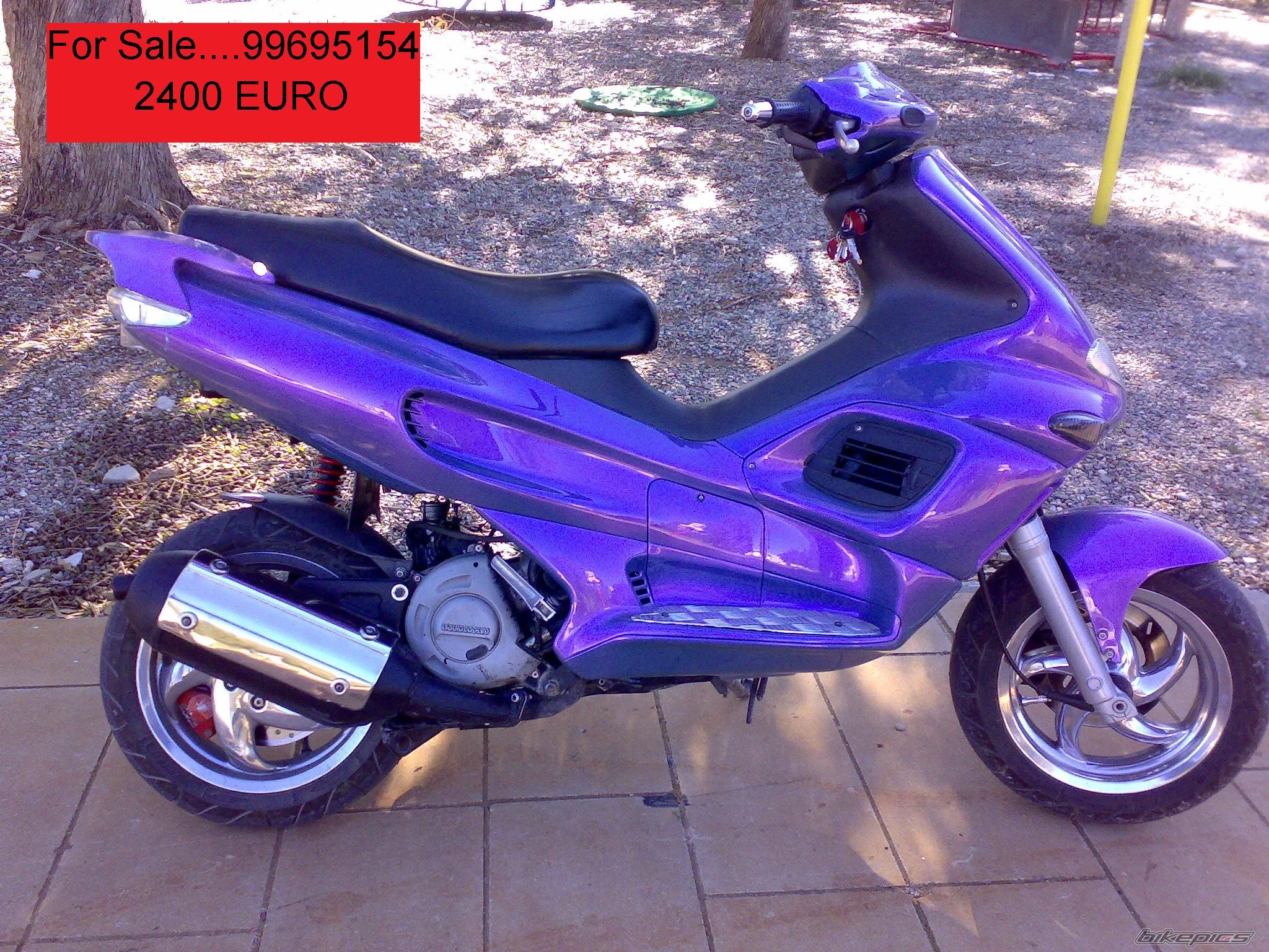 Photo 1293451