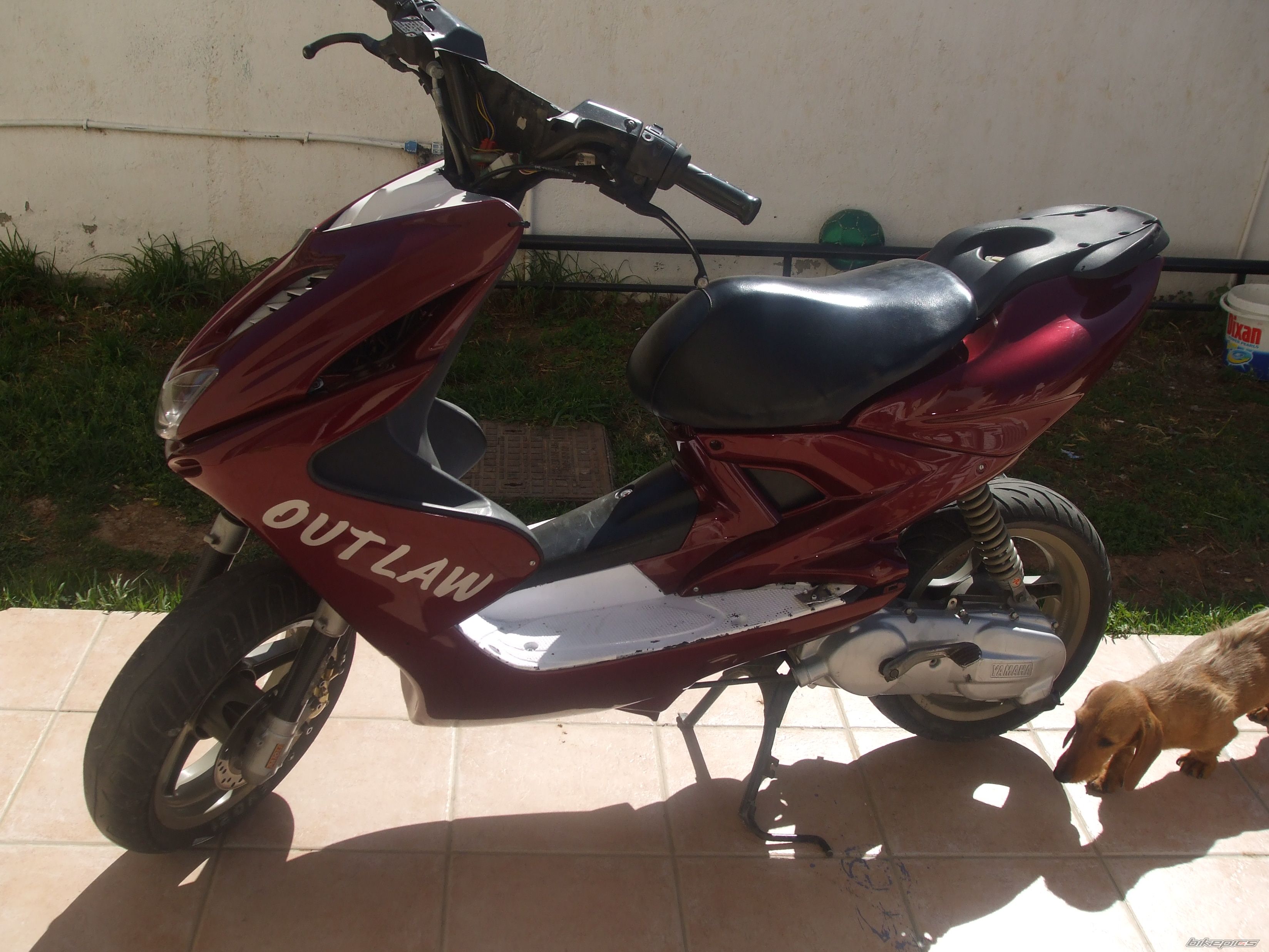 Photo 1293456