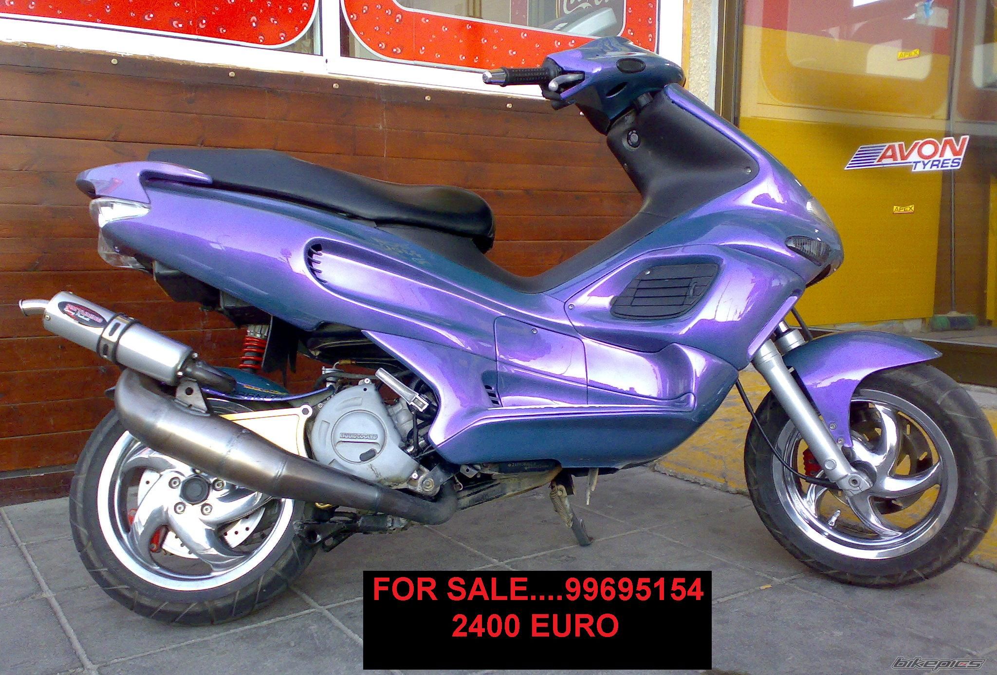 Photo 1293460