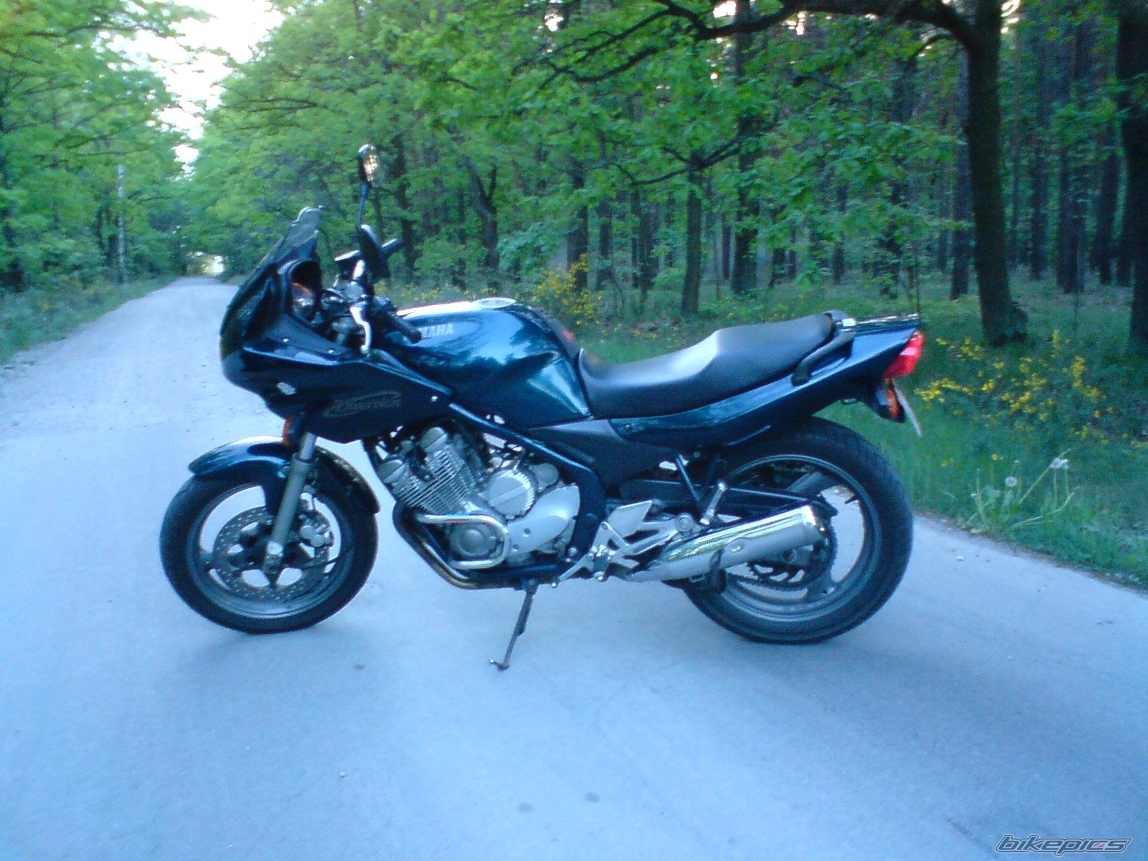 Bike Photo 1293481