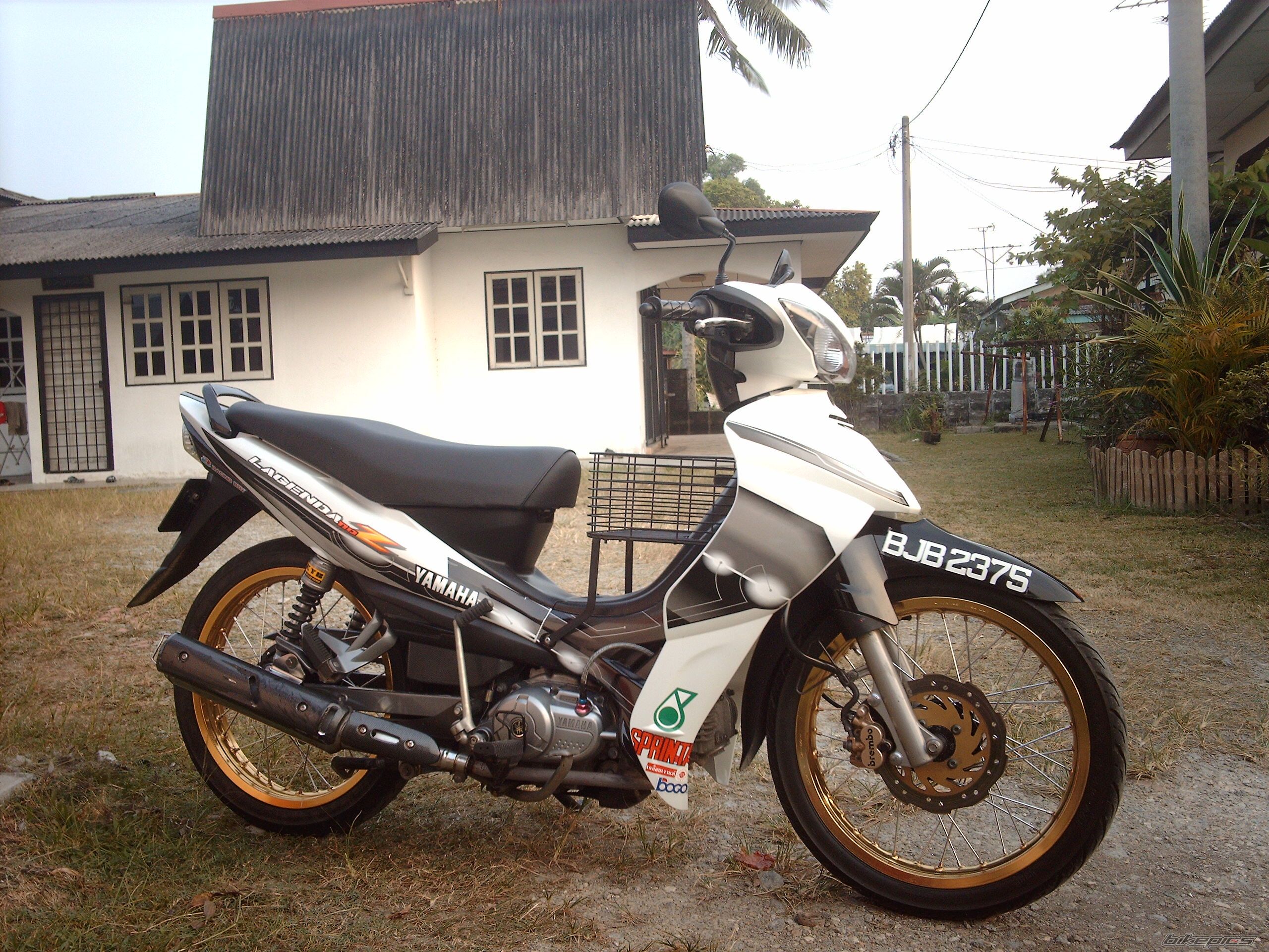 Photo 1293488
